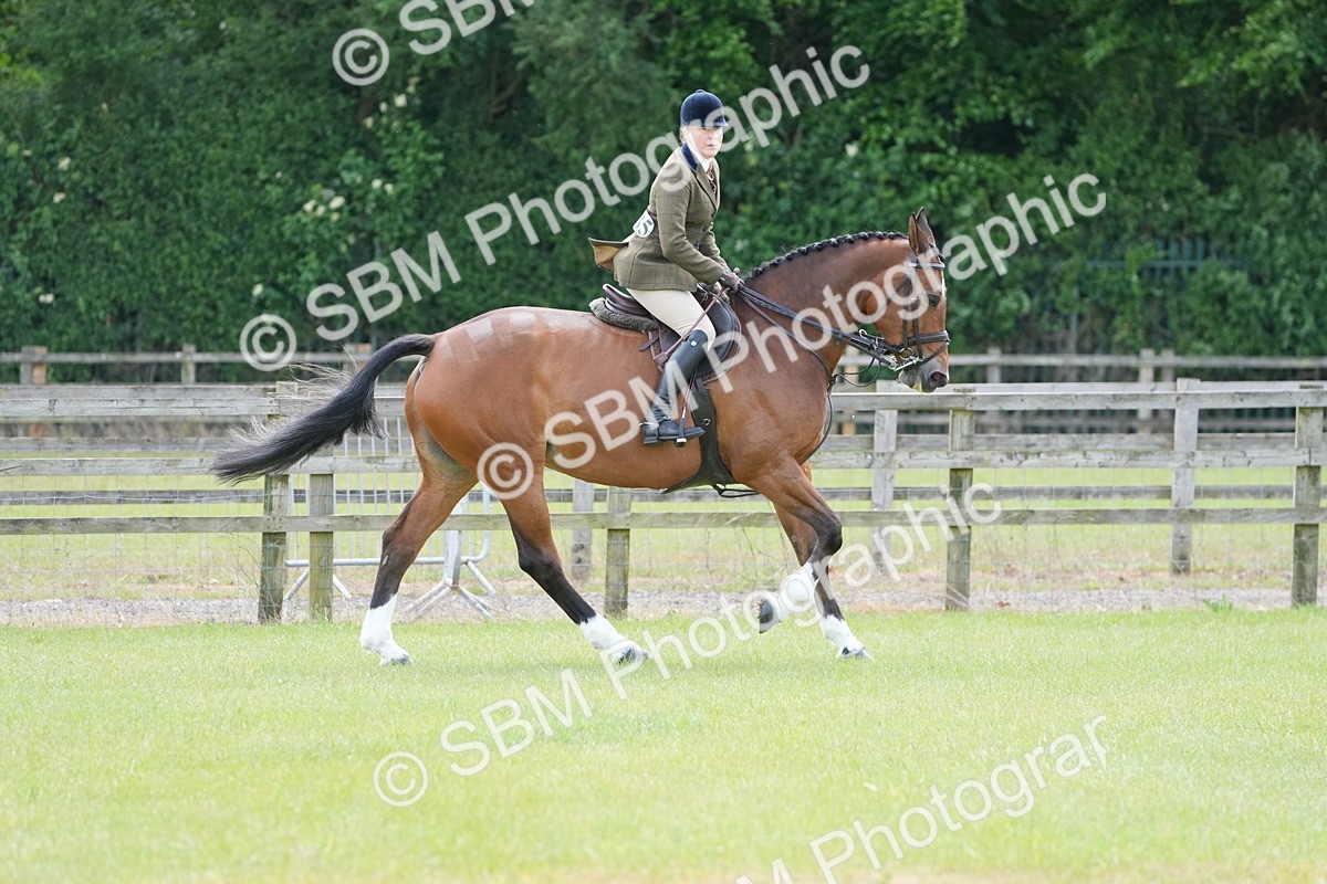 SBM_15010 - Class 100-102 - RIHS Working Hunter