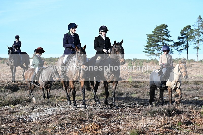 WJ7_7388 - Line 3 (no line 4 or 5)