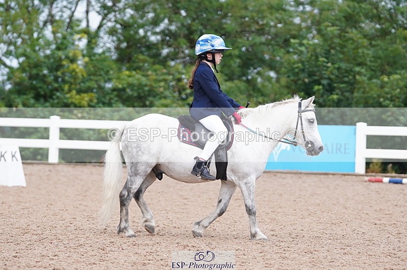 240809A-110020-00701 - Dressage Competition