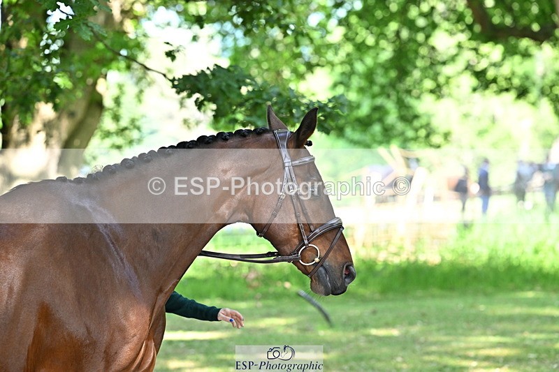 250521A-160341-00891 - C-204-Kirsty.Chabert-OPPOSITION.FIDELITY