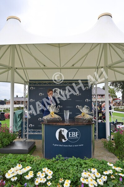 yr19082021r7-42 - Race 7 5.20pm British Stallion Studs EBF Fillies' Stakes