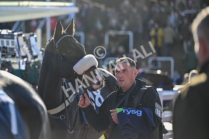 251025-Race 3-Minella Blueway-8404 - Race 3