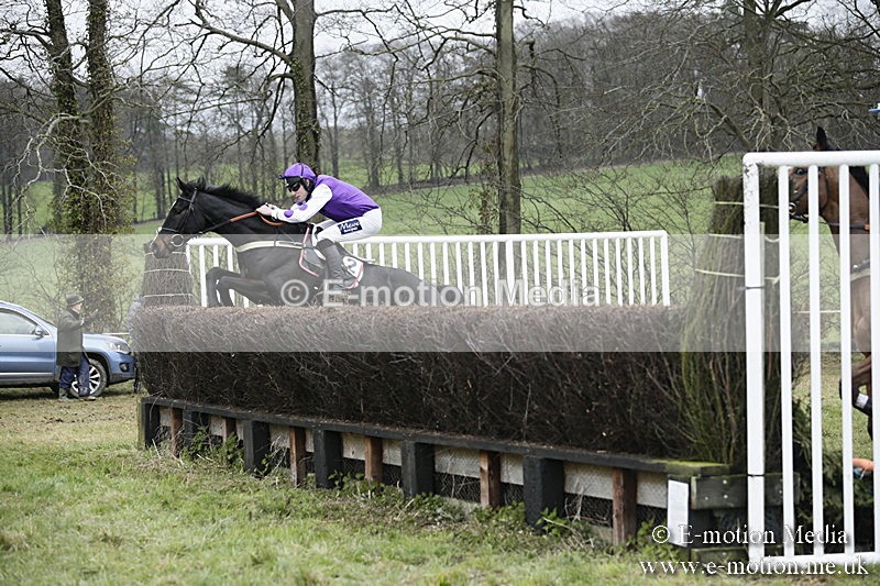 PtP 020418 -464 - Old Berks Point-to-Point Races Easter Monday 02/04/18