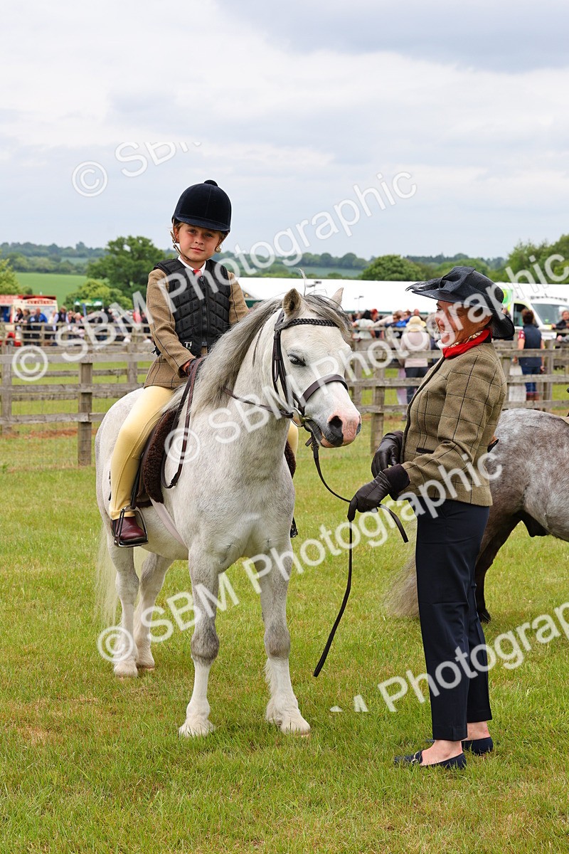 SBM_08382 - Class 42-43 - LIHS BSPS Heritage Working Sports Pony