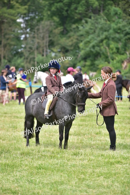 20260614-1388 - Class 11b - Lead Rein Pony (Plaited)