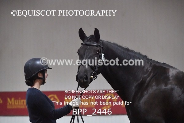 BPP_2446 - AFTERNOON 12.30 - 3.30PM