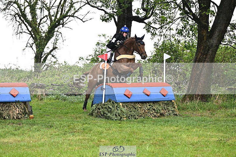 250418-131902-04116 - 205-Millie.Stoneman-V8.CHESTER