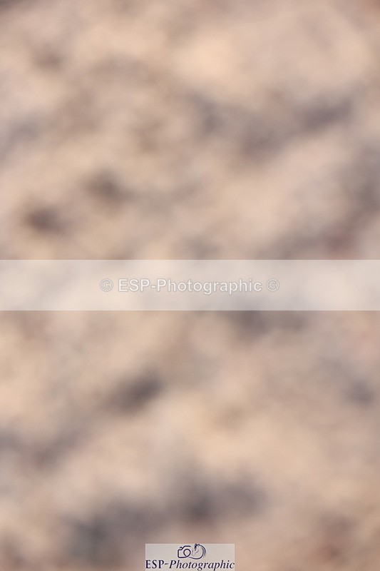 240210A-095325-00280 - Cls 15+16 Club and Schools 60cm