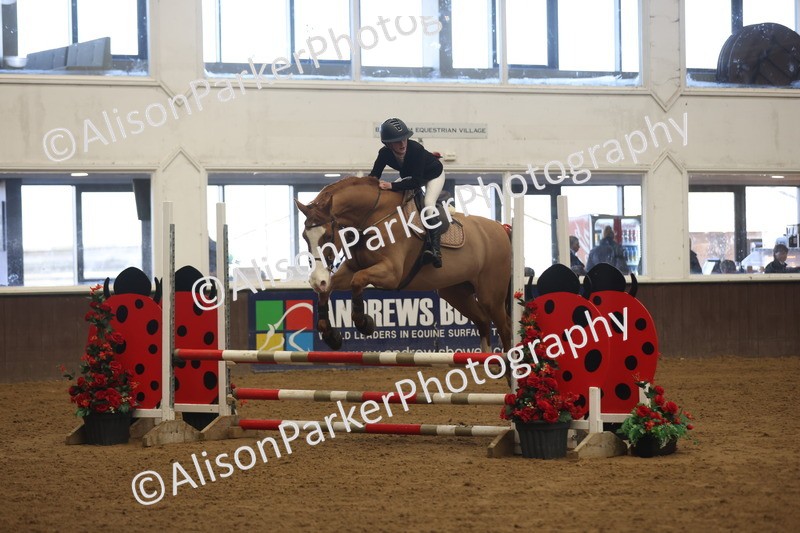 20260314-3522 - 80cm