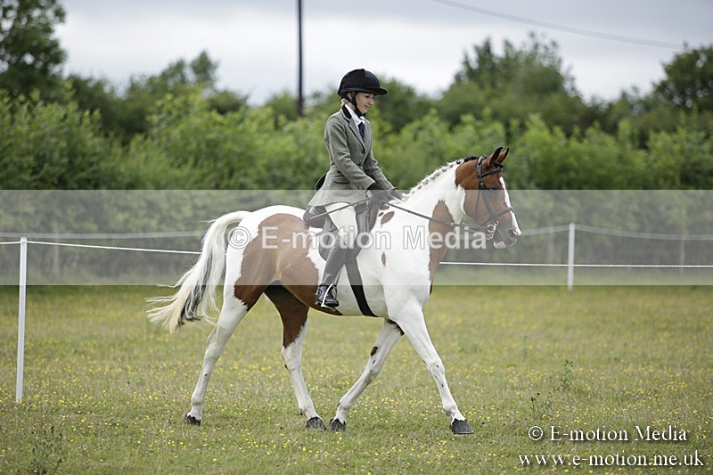 BVR160717-1875 - Ring 1 BVRC Show 16/07/17