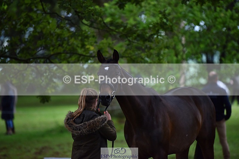 240522-164332-01113 - 218-DALI_III-Natasha_Bailey