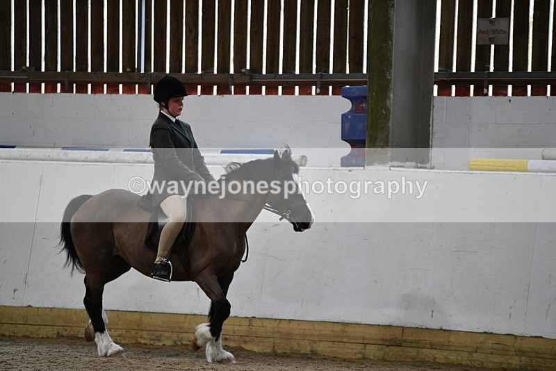 WJ5_7238 - Class 11 Ridden PC - RC Pony