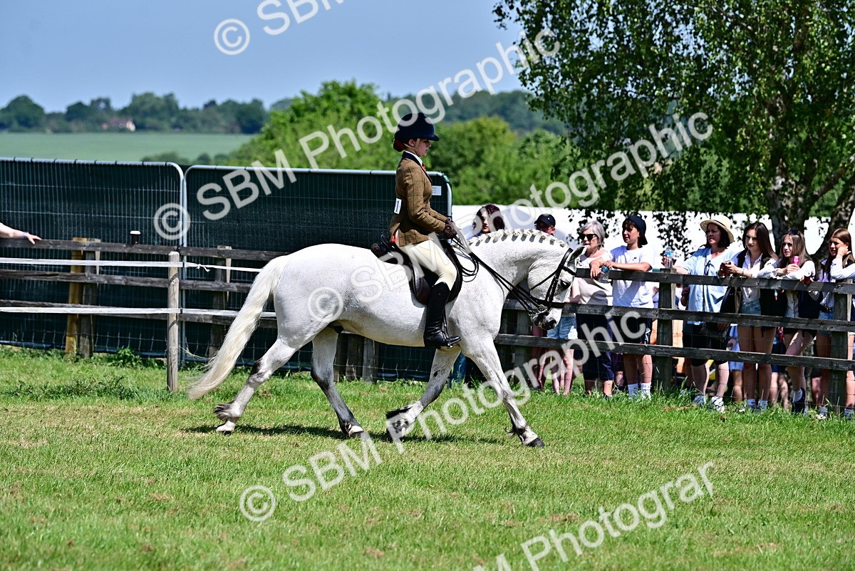 SBM_15266 - Class 95-97 - BSPS LHS Performance Ponies