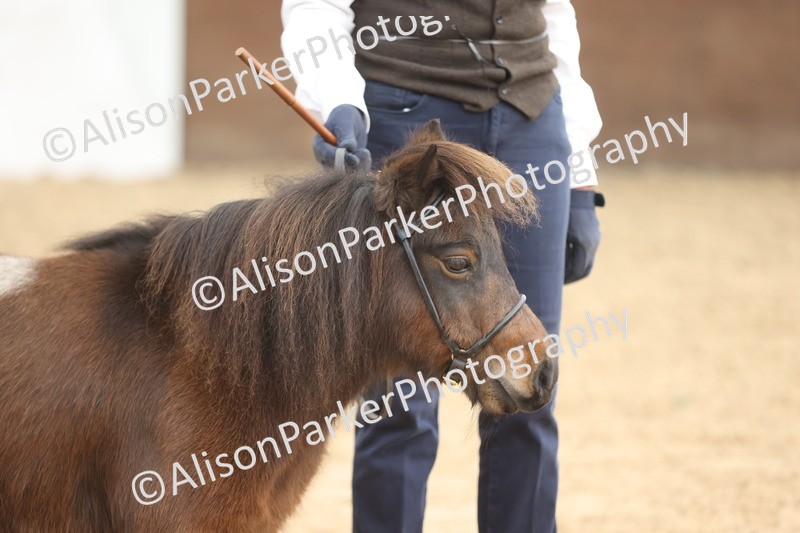 20251109-0333 - Class 13 - Mares 4 Years and Over