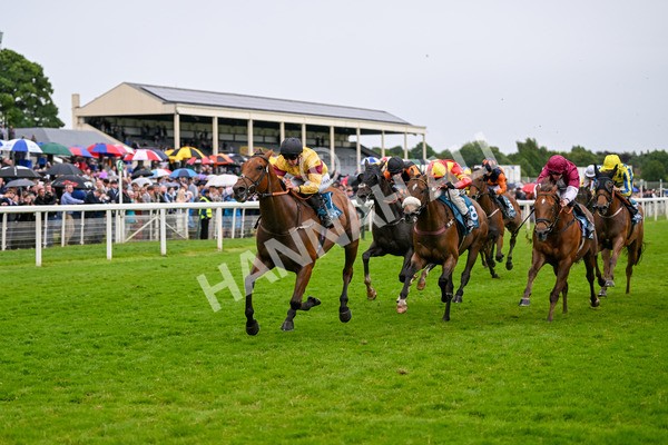 150624-Race 6-Pisanello-7999 - Race 6 4.45pm Ice Co Supporting Macmillan Handicap