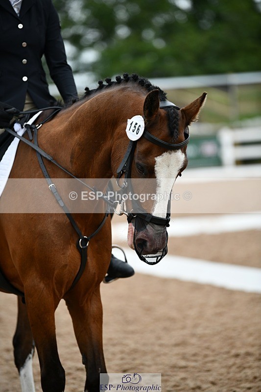 250705-100111-00114 - BRCP1 Sections BRCP1SNR, BRCP1JNR 09-30 to 10-40