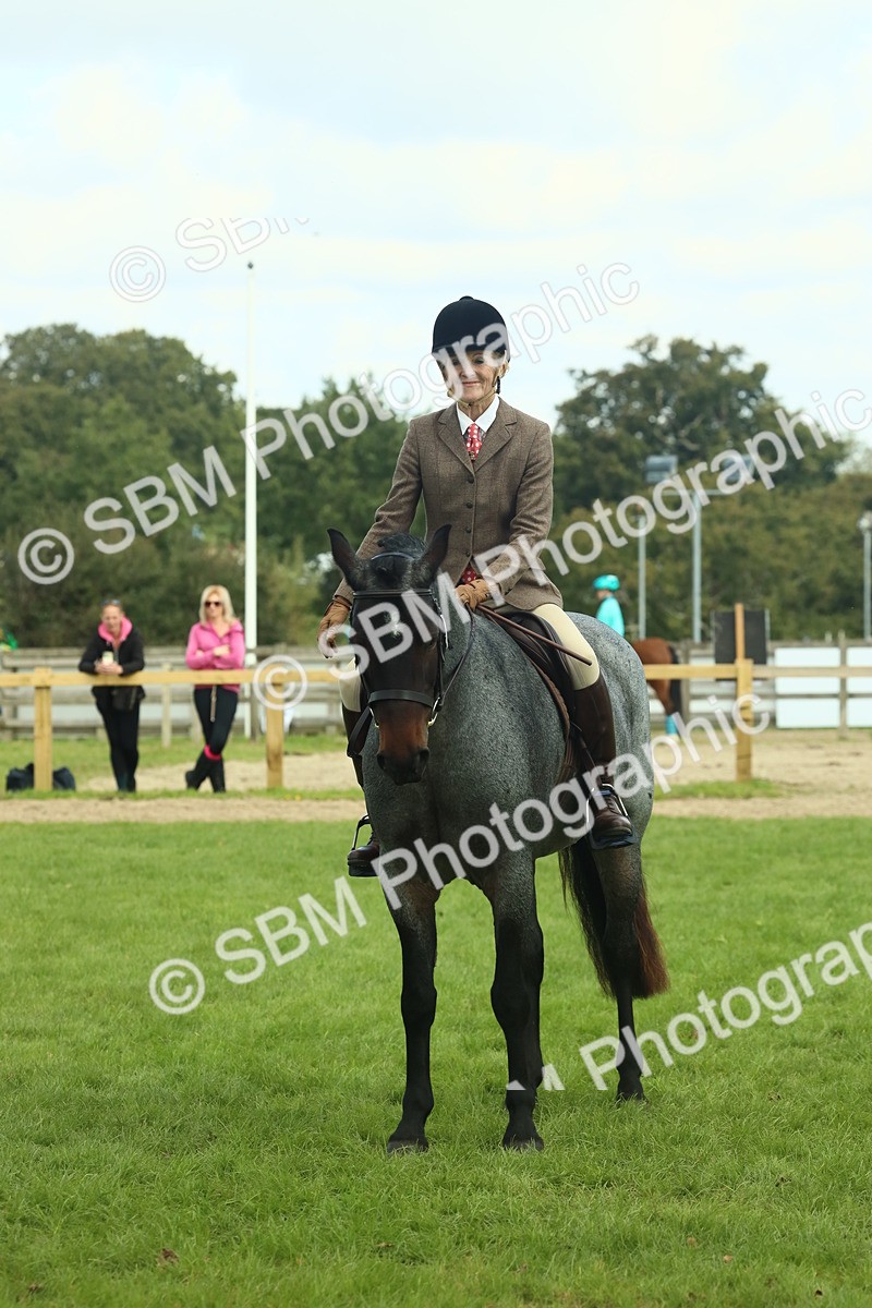 SBM_62620 - S63 - Other Coloured Horse Ridden