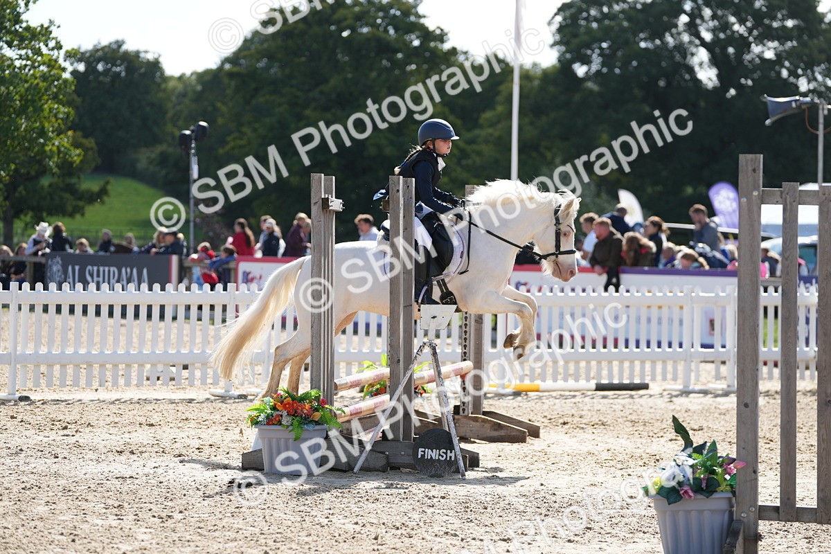 SBM_46549 - J7 - Junior Pony 60cm Championship