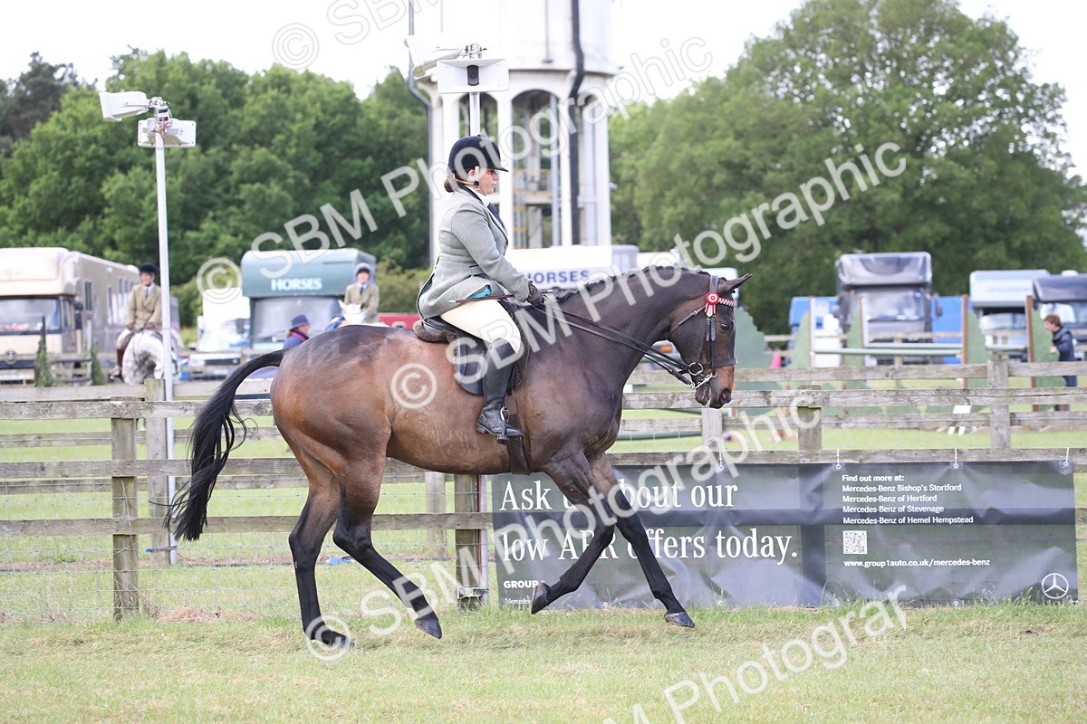 SBM_14189 - Class 113-114 - Retraining of Racehorses Ridden