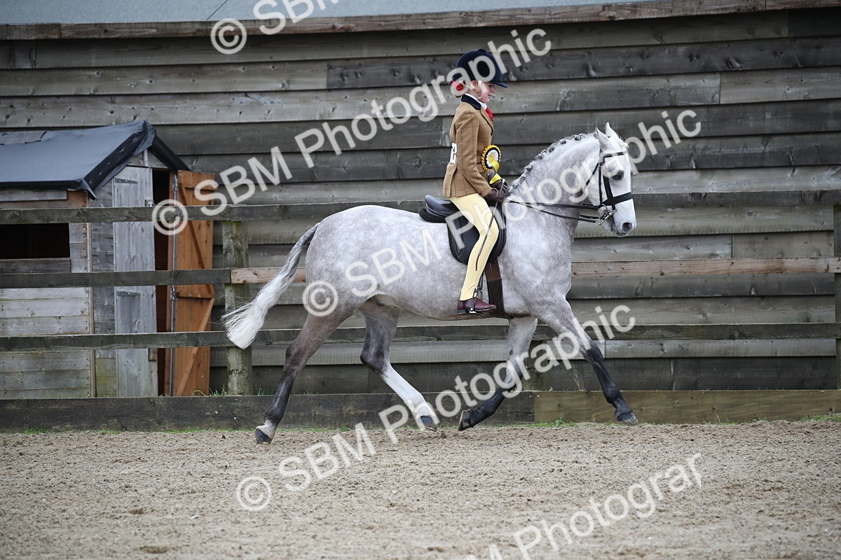 SBM_004701 - Class 5-9 - NPS In Hand-Show Hunter-Intermediate Ridden Inc Ridden Championship