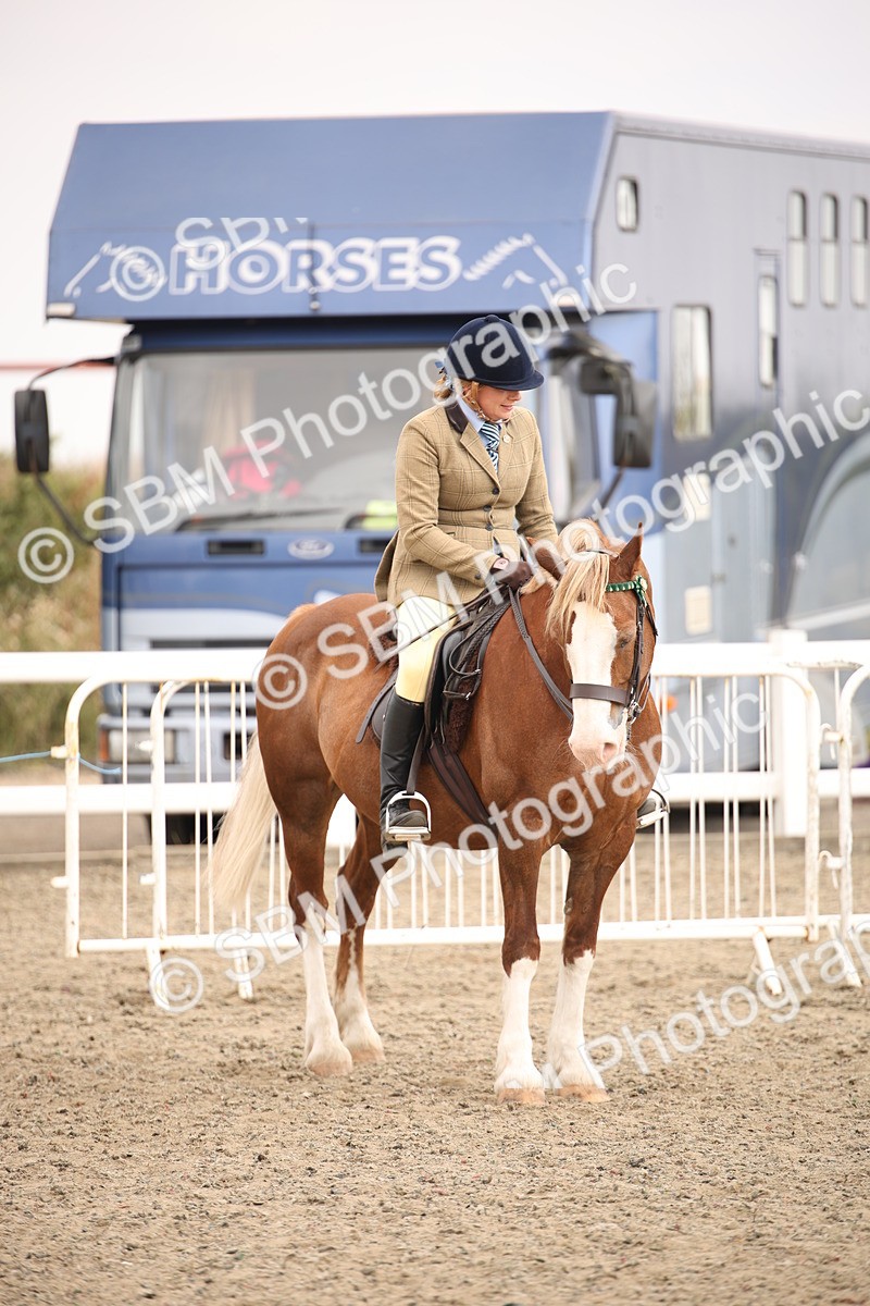 SBM_12604 - Class 405b - M&M Working Veteran 50cm 20+