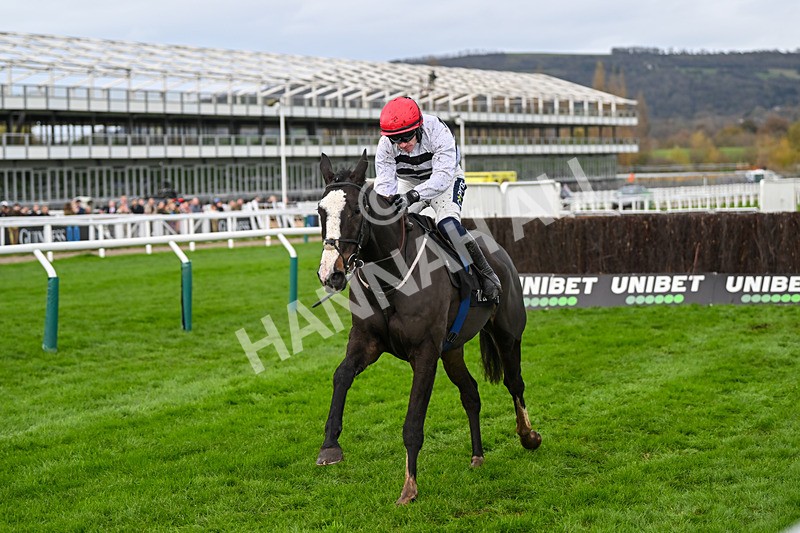 171124-Race 2-The Other Mozzie-2967 - Race 2