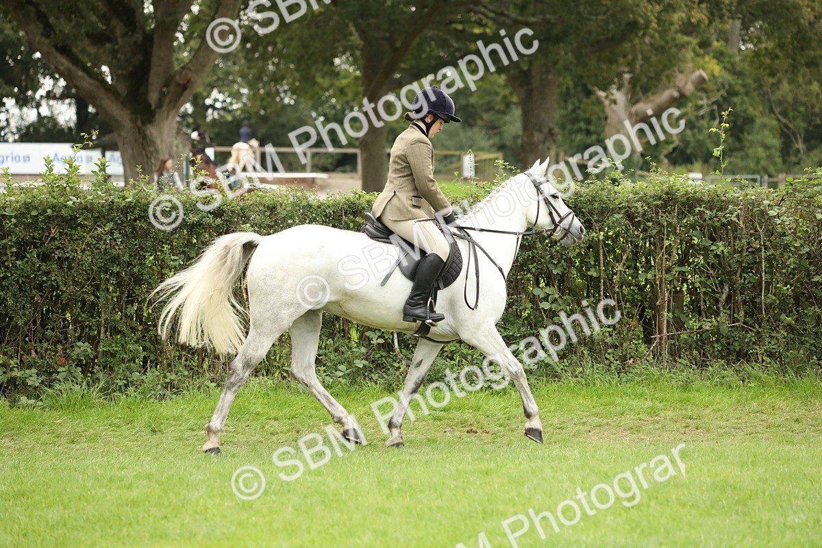 SBM_73674 - S41 - Ridden Equitation (Best Rider)