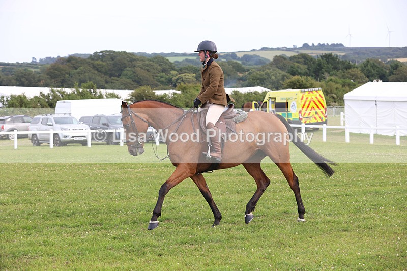 JPP_4114 - Class 24: Working Hunter 90cm