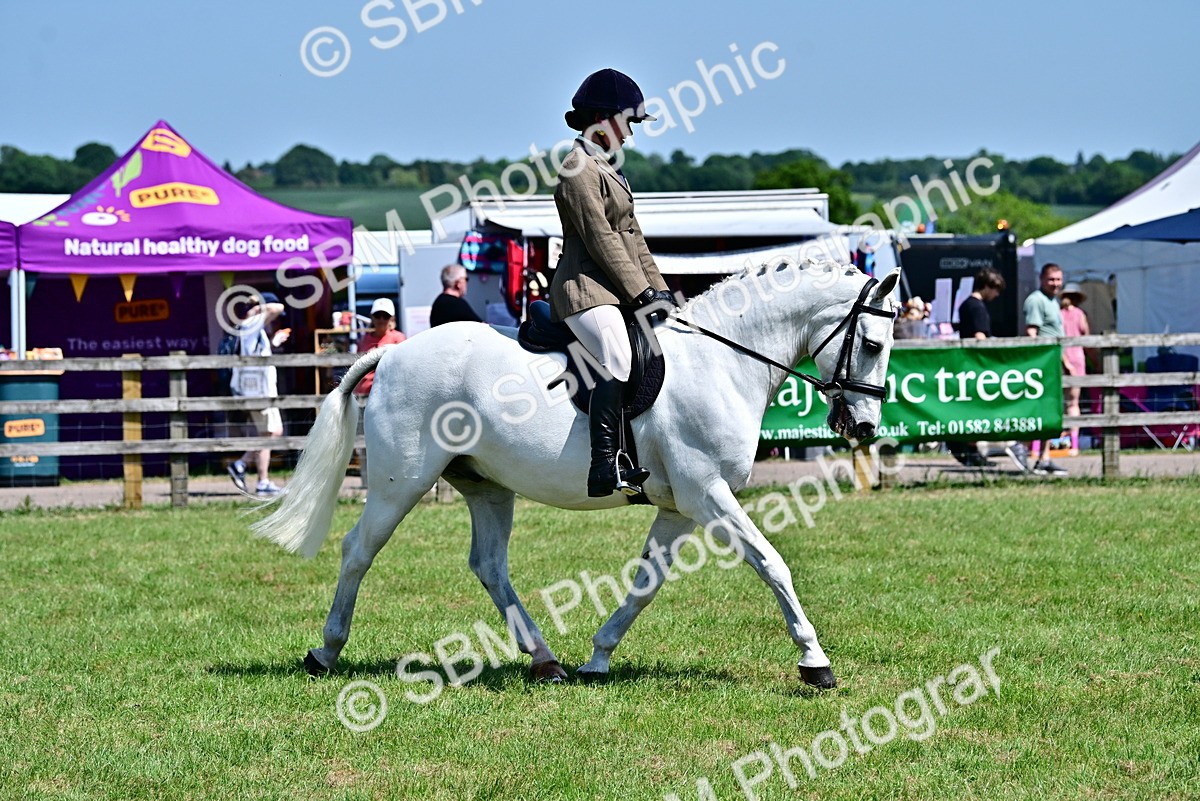 SBM_17473 - Class 95-97 - BSPS LHS Performance Ponies
