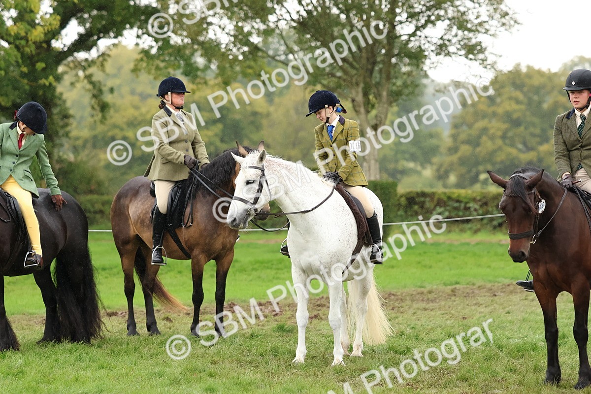 SBM_69720 - S62 - Mountain & Moorland Ridden Large Breeds