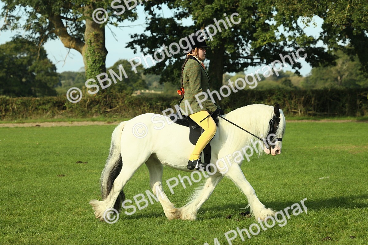 SBM_59840 - S38 - Starters Ridden Showing