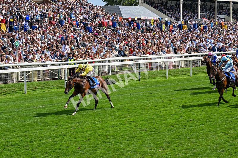 220826-Race 2-Infraad-0299 - Race 2 14.25pm Sky Bet Melrose Handicap