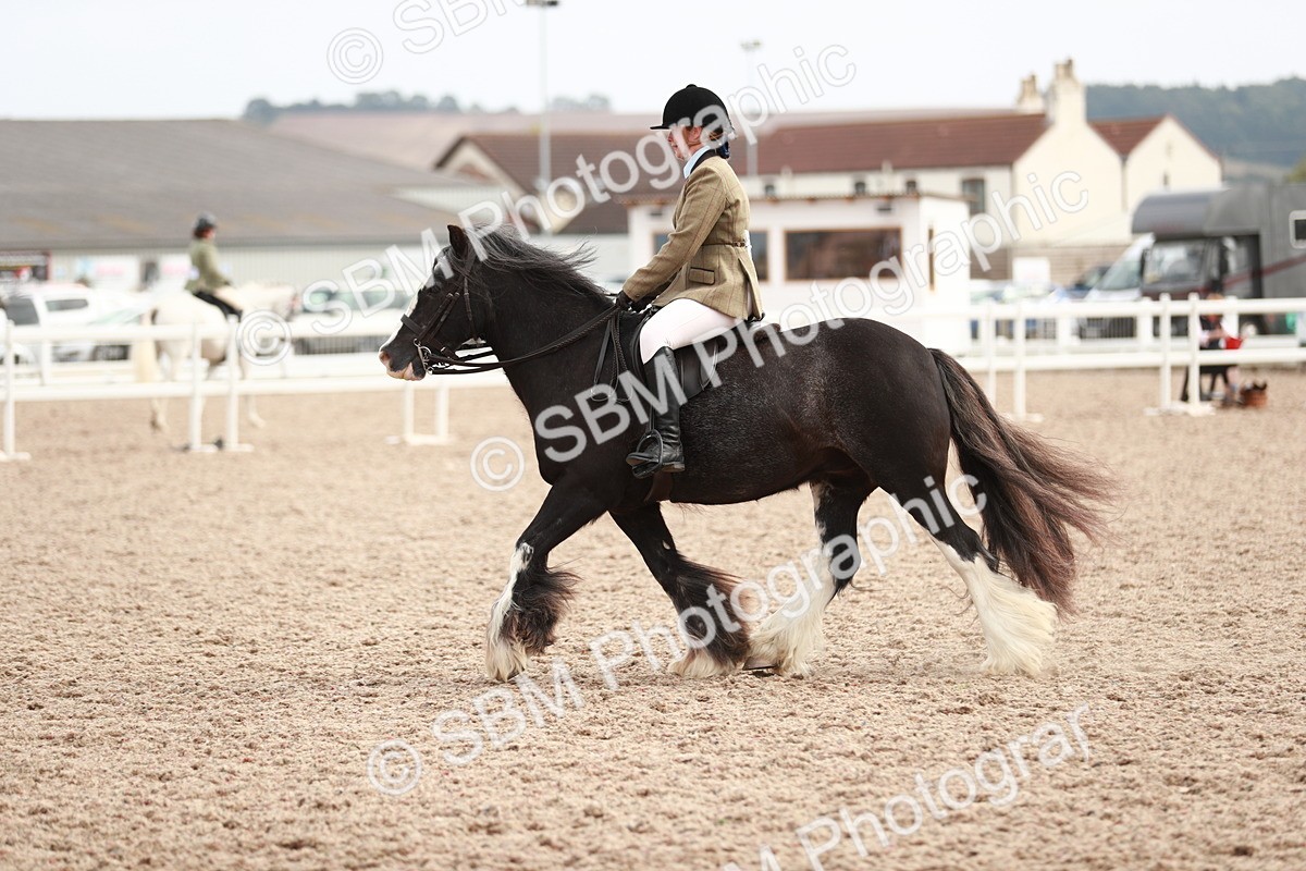 SBM_16789 - Class 214 Ridden Cob