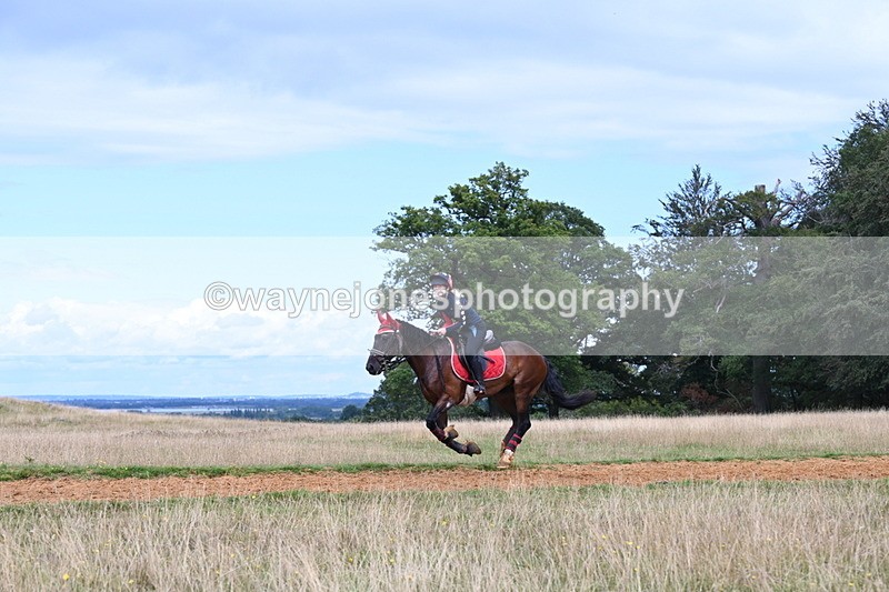 DSC_8913 - Time at Statue 14:33 to 15:10