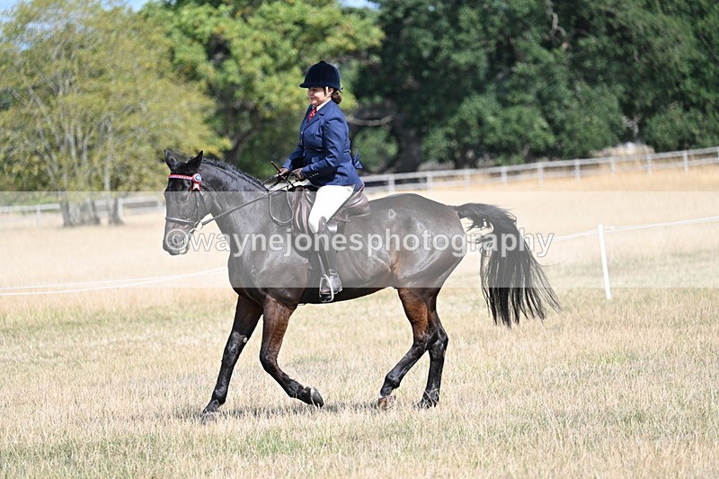 WJ7_6243 - Class 13 Ridden Veterans