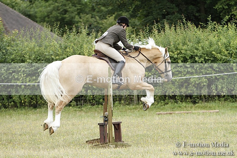 BVR160717-375 - Ring 3 BVRC Show 16/07/17