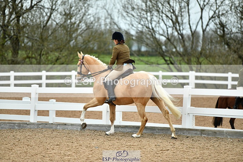 230416A-134311-04925 - Cls 60 Ridden Show Horse