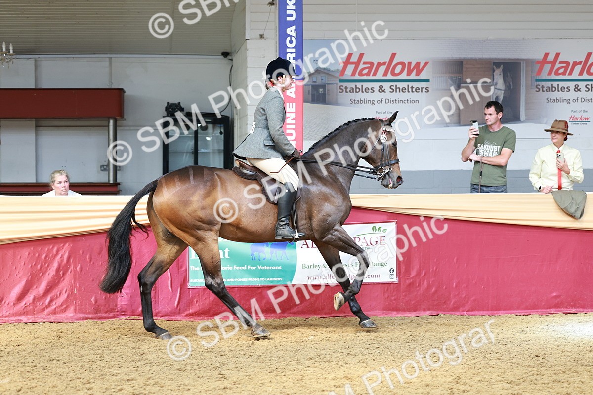 SBM_14898 - Class 108 - Ridden Retired Racehorse