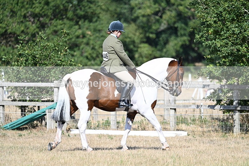 WJ7_3105 - Class 8 Ridden Tack & Turnout