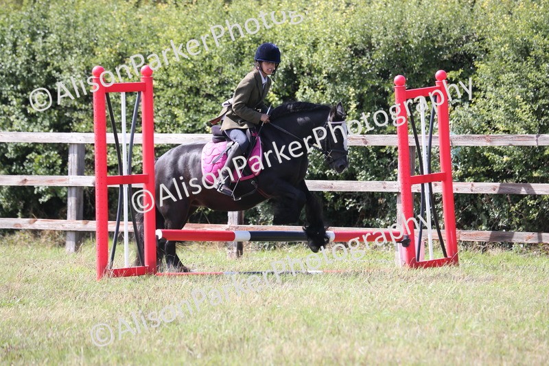 20260906-1641 - Class 10 - Horse & Hound