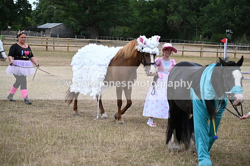 WJ6_8705 - Class 11 Fancy Dress