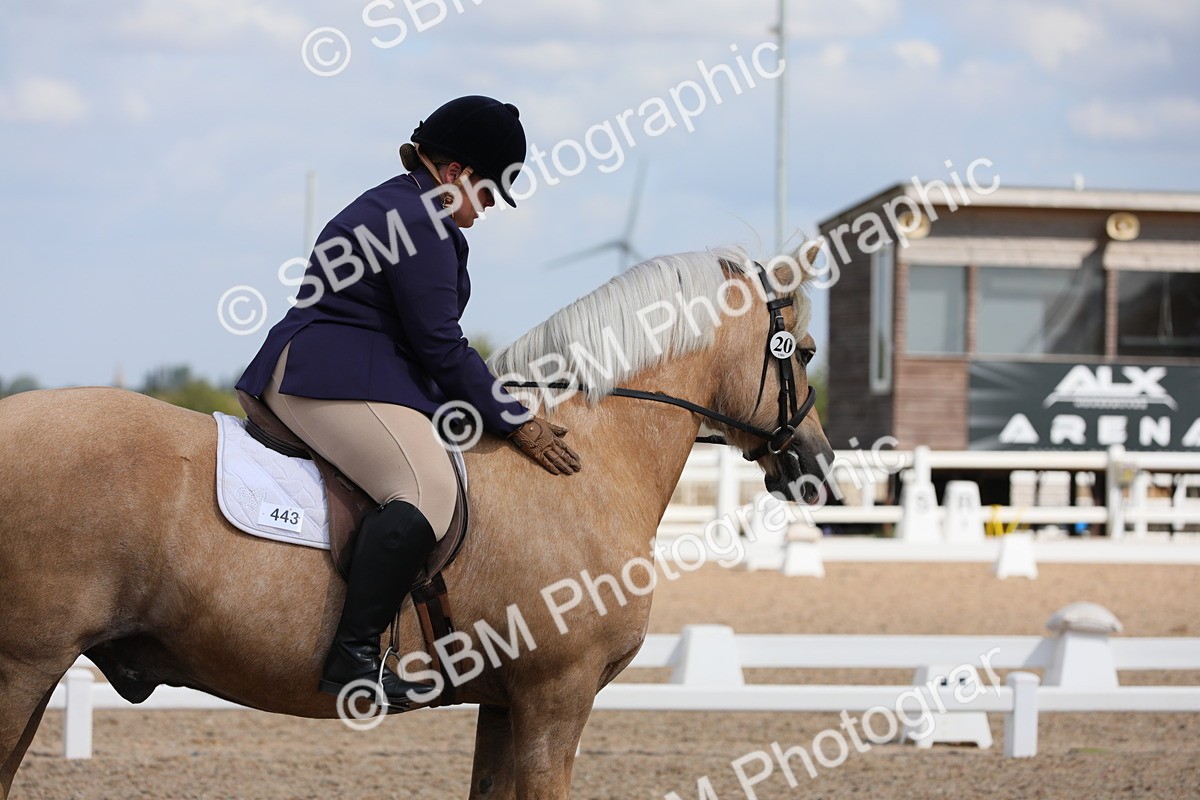 SBM_04048 - Class 31 Prelim 1