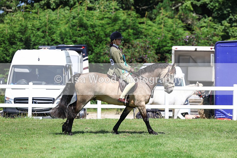 3E7A9143 - Working Hunter Championship