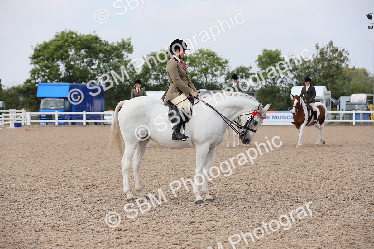 SBM_13404 - Class 308 Ridden Coloured Horse