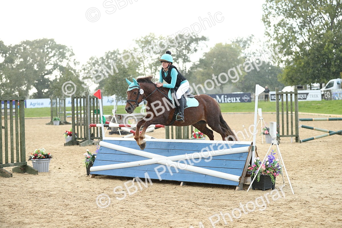 SBM_30388 - E11 - Eventers Challenge 80cm Championship