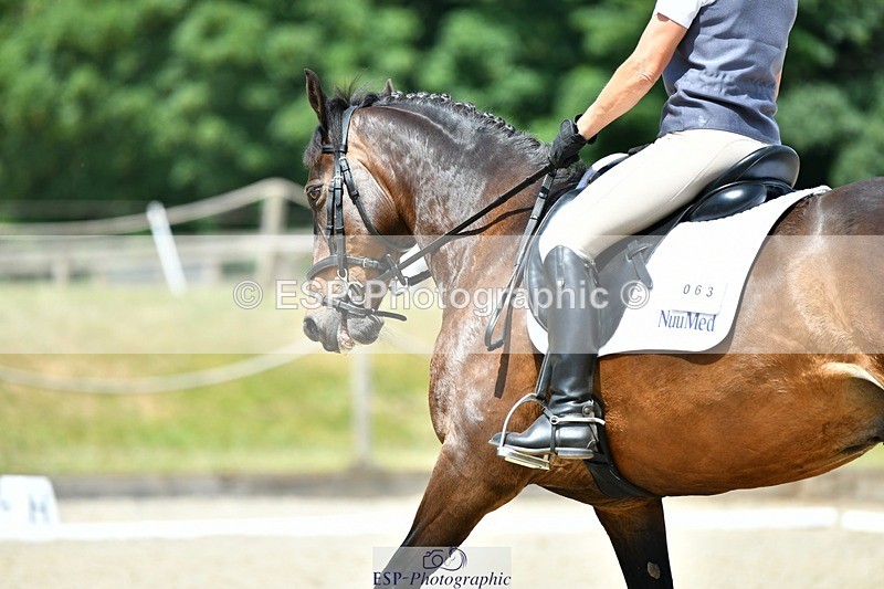 230623-122710-02223 - Cls 4 Novice 37Q Start to 12.35 break