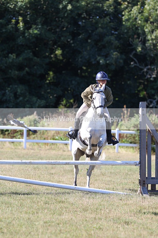 3E7A5408 - Class 3: Working Hunter 70cm