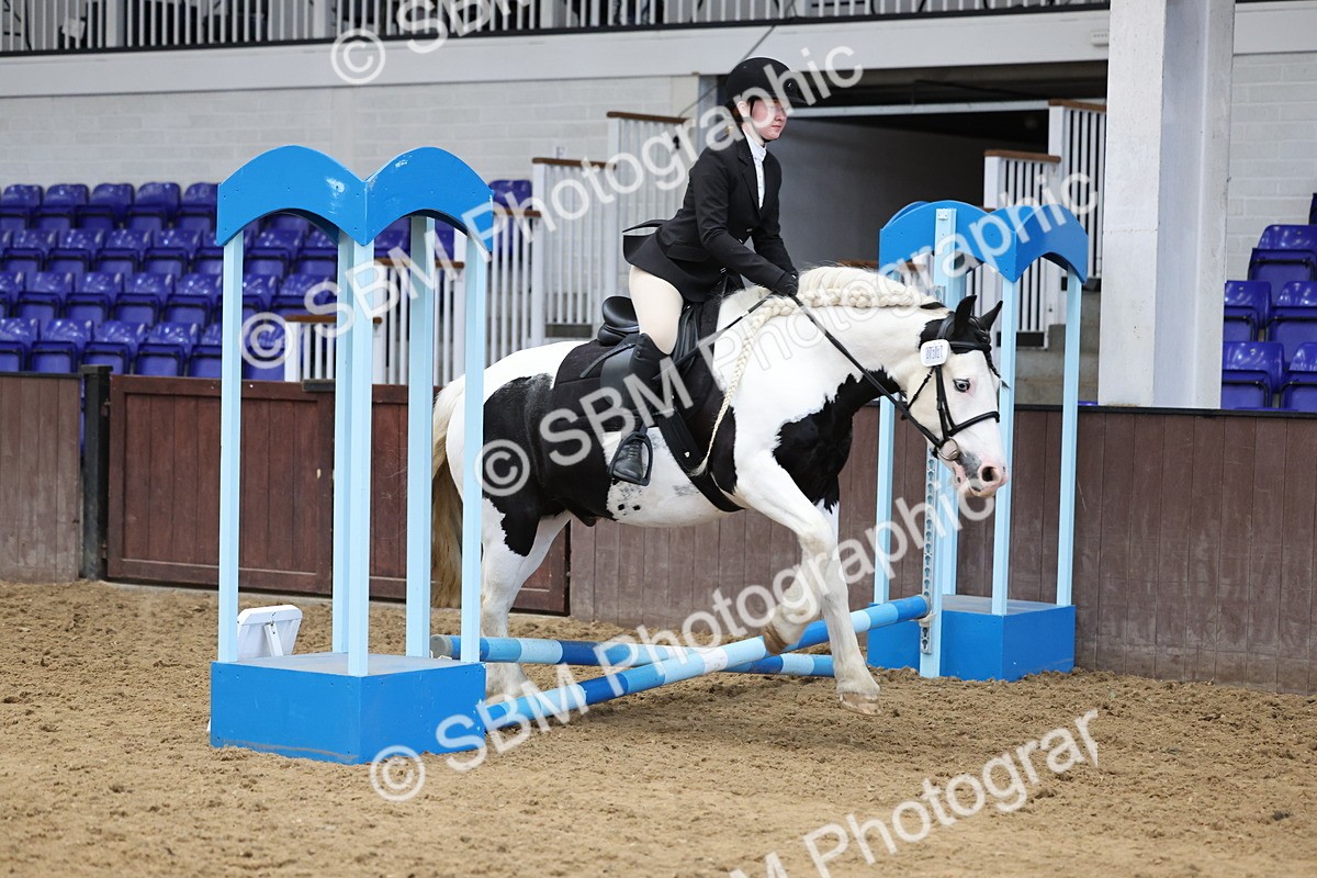 SBM_007037 - Class 1 - 40cm showjumping