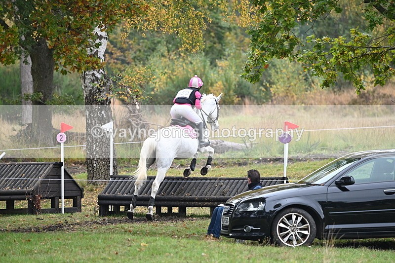 WJ6_2687 - 80cm Cam 1 Time 11:23 to 12:04