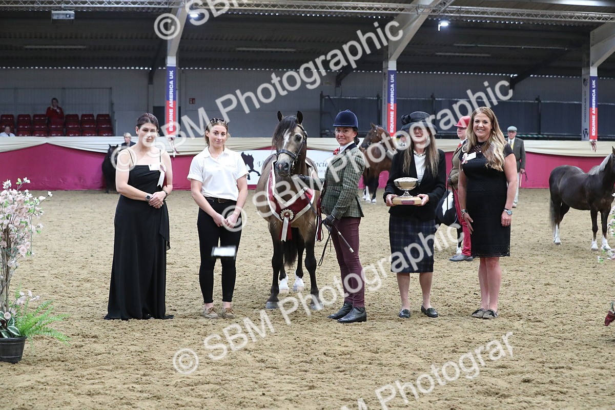 SBM_15411 - Class 501 M&M IH Supreme Final